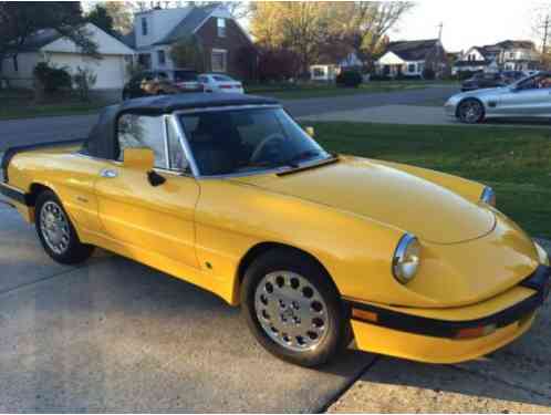 1986 Alfa Romeo Spider