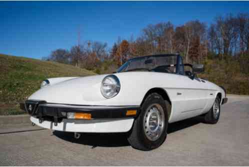 Alfa Romeo Spider Convertible (1986)