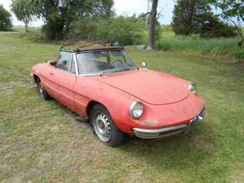 1967 Alfa Romeo Spider Duetto spider