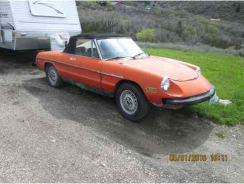 1976 Alfa Romeo Spider Enizione Spider