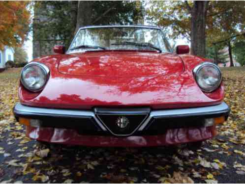 1987 Alfa Romeo Spider