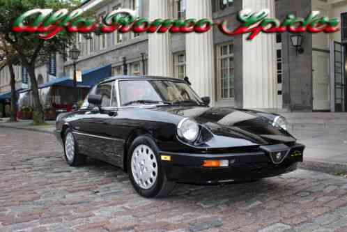 Alfa Romeo : Spider LOW RESERVE!