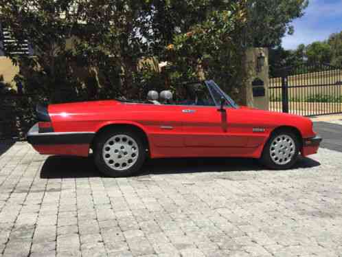 1986 Alfa Romeo Spider