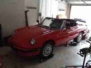 1986 Alfa Romeo Spider