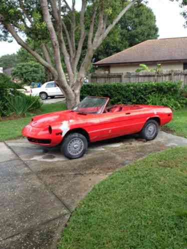 1973 Alfa Romeo Spider