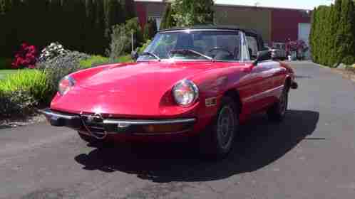 1974 Alfa Romeo Spider