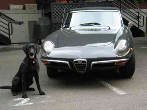 1969 Alfa Romeo Spider Veloce