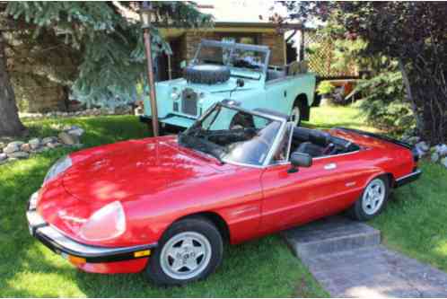 1986 Alfa Romeo Spider