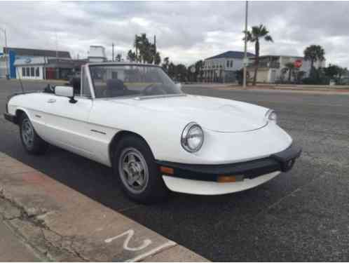 1986 Alfa Romeo Spider