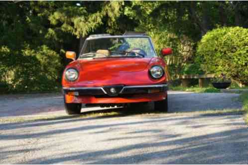 1984 Alfa Romeo Spider