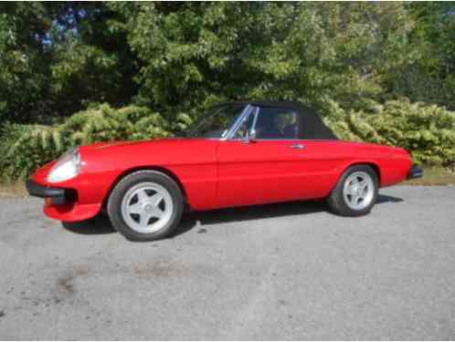 1981 Alfa Romeo Spider