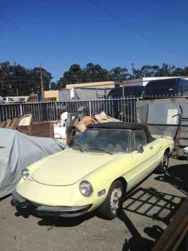 19730000 Alfa Romeo Spider