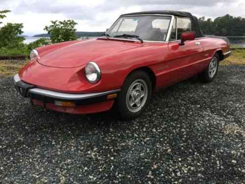 1986 Alfa Romeo Spider