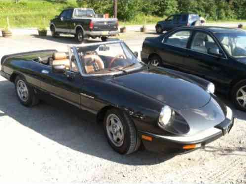 1983 Alfa Romeo Spider