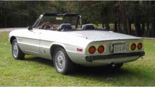 1981 Alfa Romeo Spider