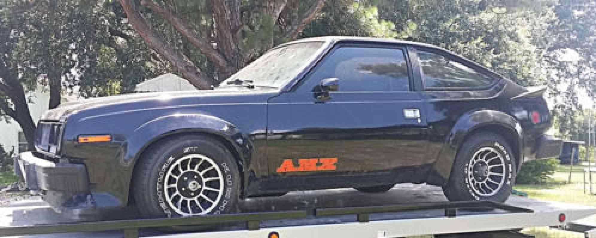 1979 AMC AMX AMX