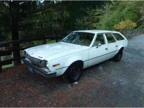 AMC Hornet (1973)