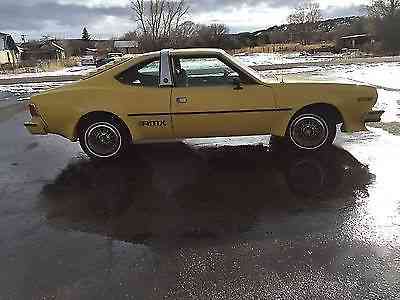 AMC Hornet AMX (1977)