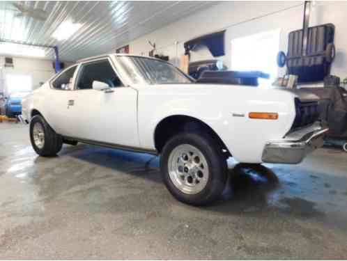 AMC Hornet (1975)