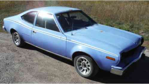 AMC Hornet LEVI X (1973)