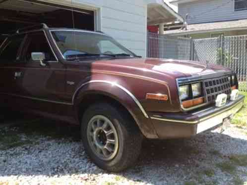 1981 AMC Other