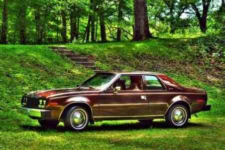 1979 AMC Other