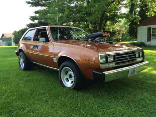 1981 AMC Other