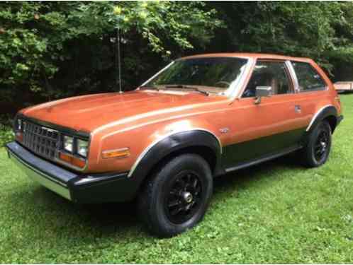 1981 AMC Other kammback