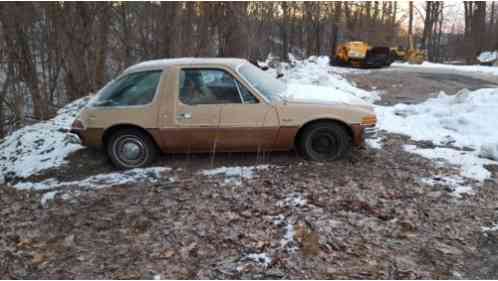 AMC Other Pacer (1976)