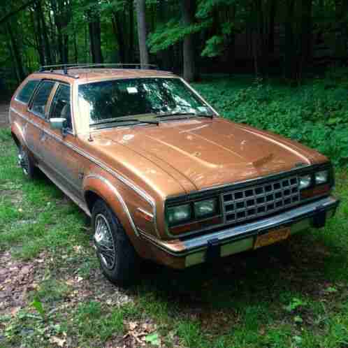 1986 AMC Other