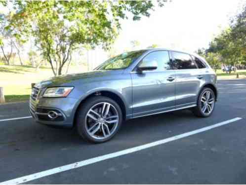 2015 Audi SQ5