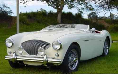 Austin Healey 100-4 (1954)