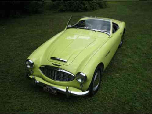 Austin Healey 100-6 (1958)