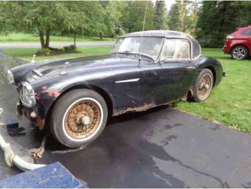 Austin Healey 100-6 (1959)