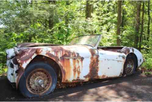 Austin Healey 3000 (1959)