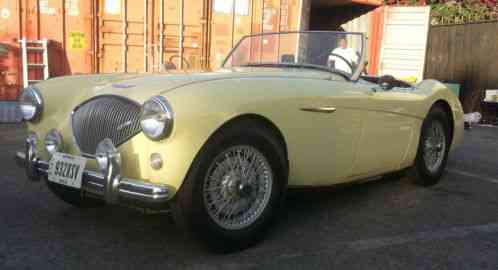 Austin Healey Other (1954)