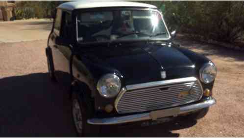 Austin Mini (1989)