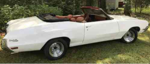 Buick Skylark Sport Custom (1971)