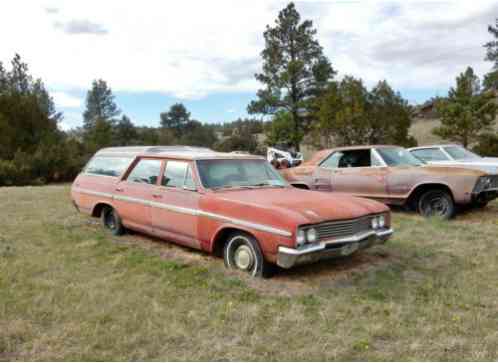 1965 Buick Sportwagon