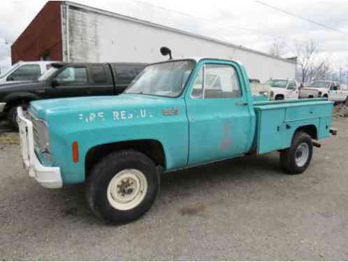 Chevrolet C-10 C20 4X4 REG CAB 5. 7 (1975)