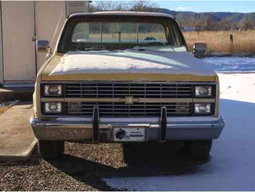 Chevrolet C-10 Longbed (1983)