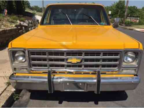 Chevrolet C/K Pickup 1500 (1979)