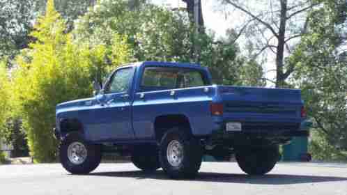 Chevrolet C/K Pickup 1500 Custom (1973)