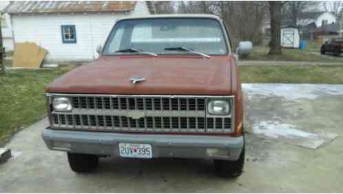 1981 Chevrolet C/K Pickup 1500 Custom Deluxe