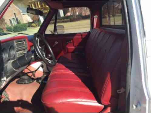 1980 Chevrolet C/K Pickup 1500