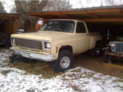 1978 Chevrolet C/K Pickup 1500 scottsdale, cheyenne