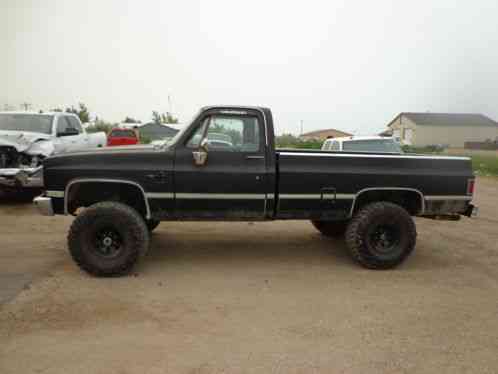 1981 Chevrolet C/K Pickup 1500