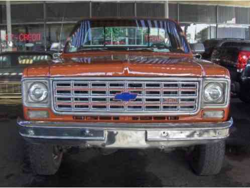 Chevrolet C/K Pickup 2500 CUSTOM 20 (1977)