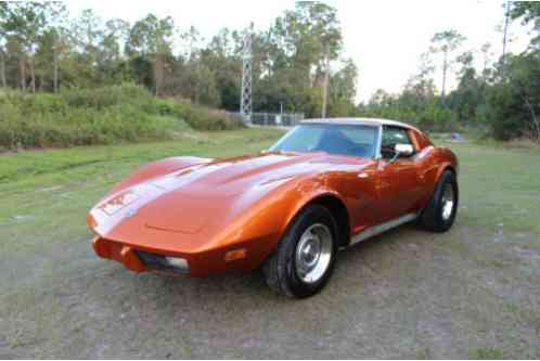 Chevrolet Corvette StingRay L48 (1975)