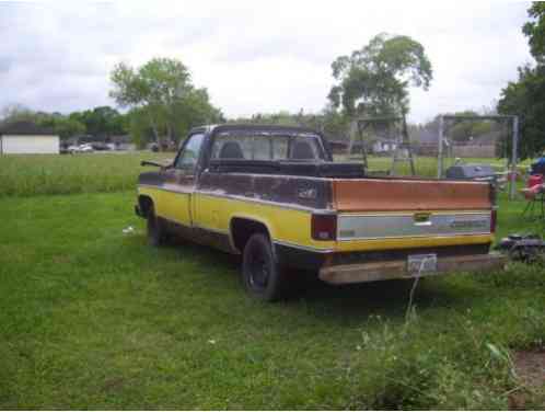 Chevrolet Other Pickups (1979)